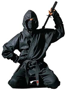 Ninja Shop приветствует Вас!